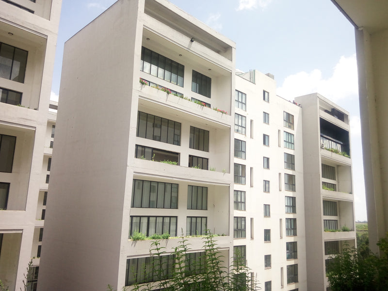 Living House